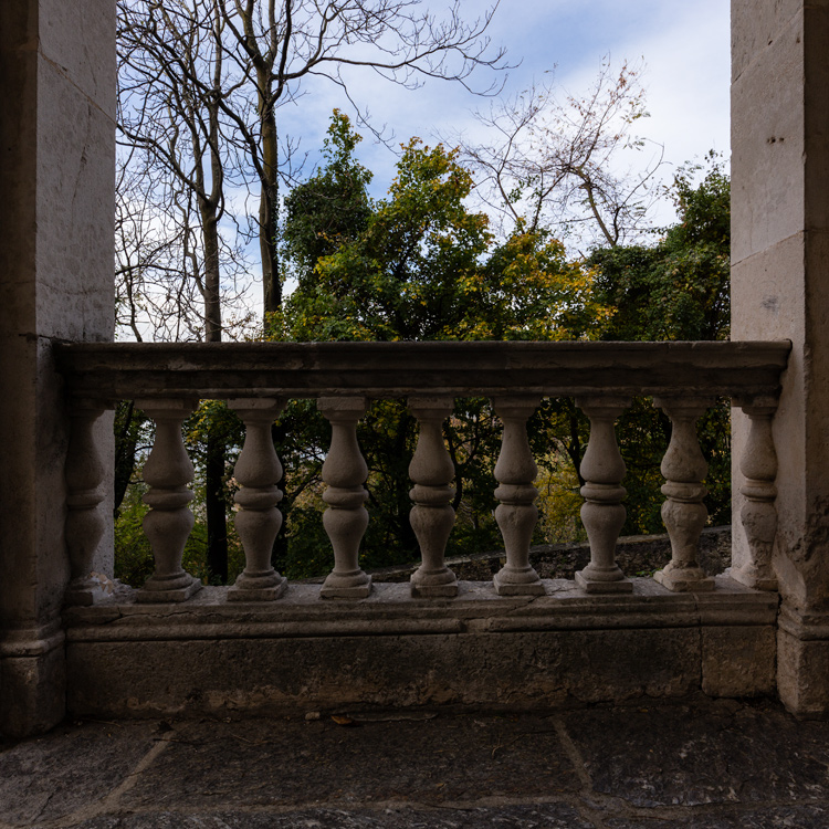 _MG_7406_8.jpg