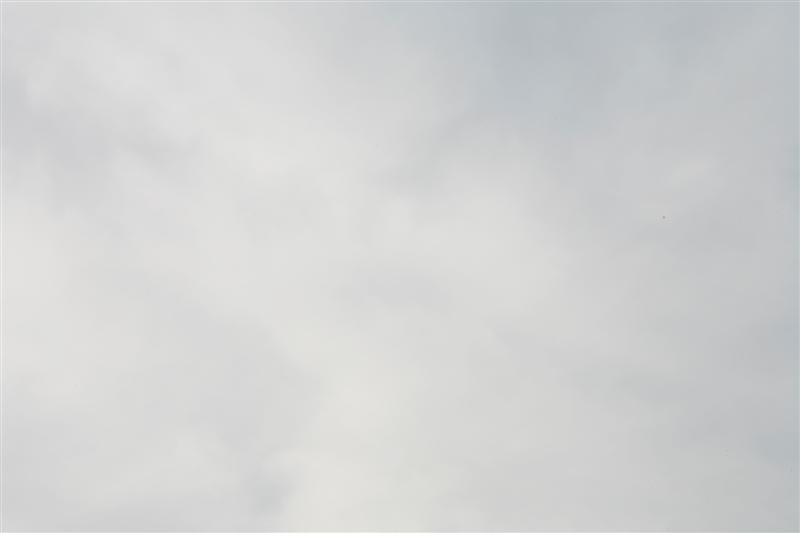 _MG_7483 (Medium).JPG