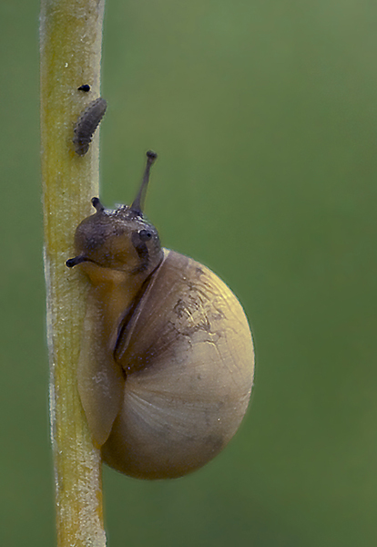 _MG_7583-copia.jpg