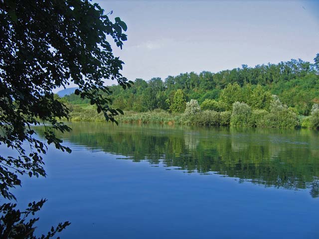 a 16 luglio 06 013PW800.jpg