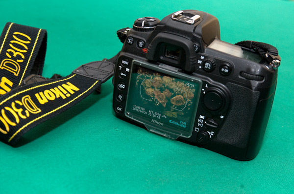 AF0_3674.jpg