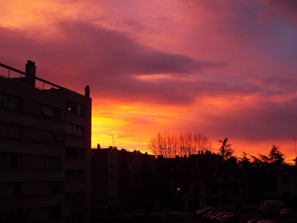 Alba 1.jpg