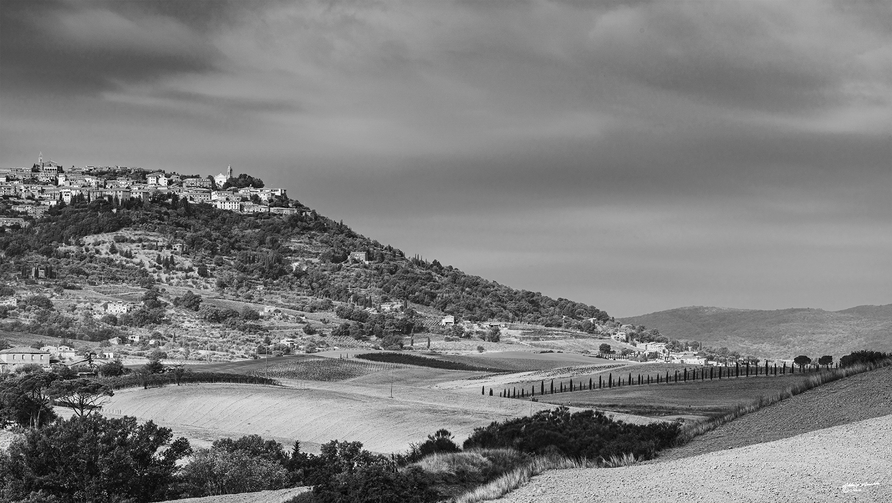 Alba baccoleno-051-2.jpg