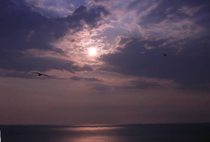 alba con_gabbiani.jpg