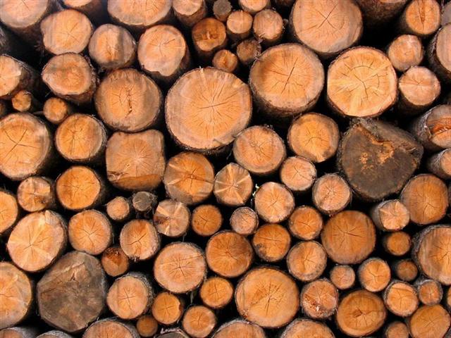 album_pic.php (Large) (Medium) (Small).jpg