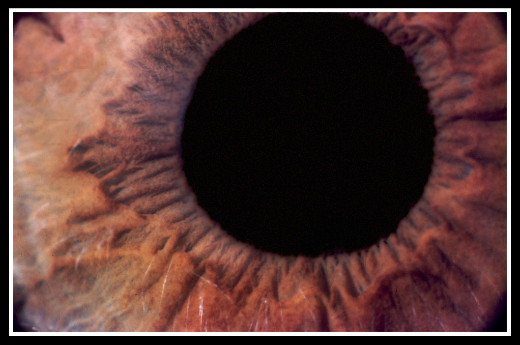 album_pic.php copia.jpg