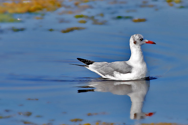 album_pic11 copia.jpg