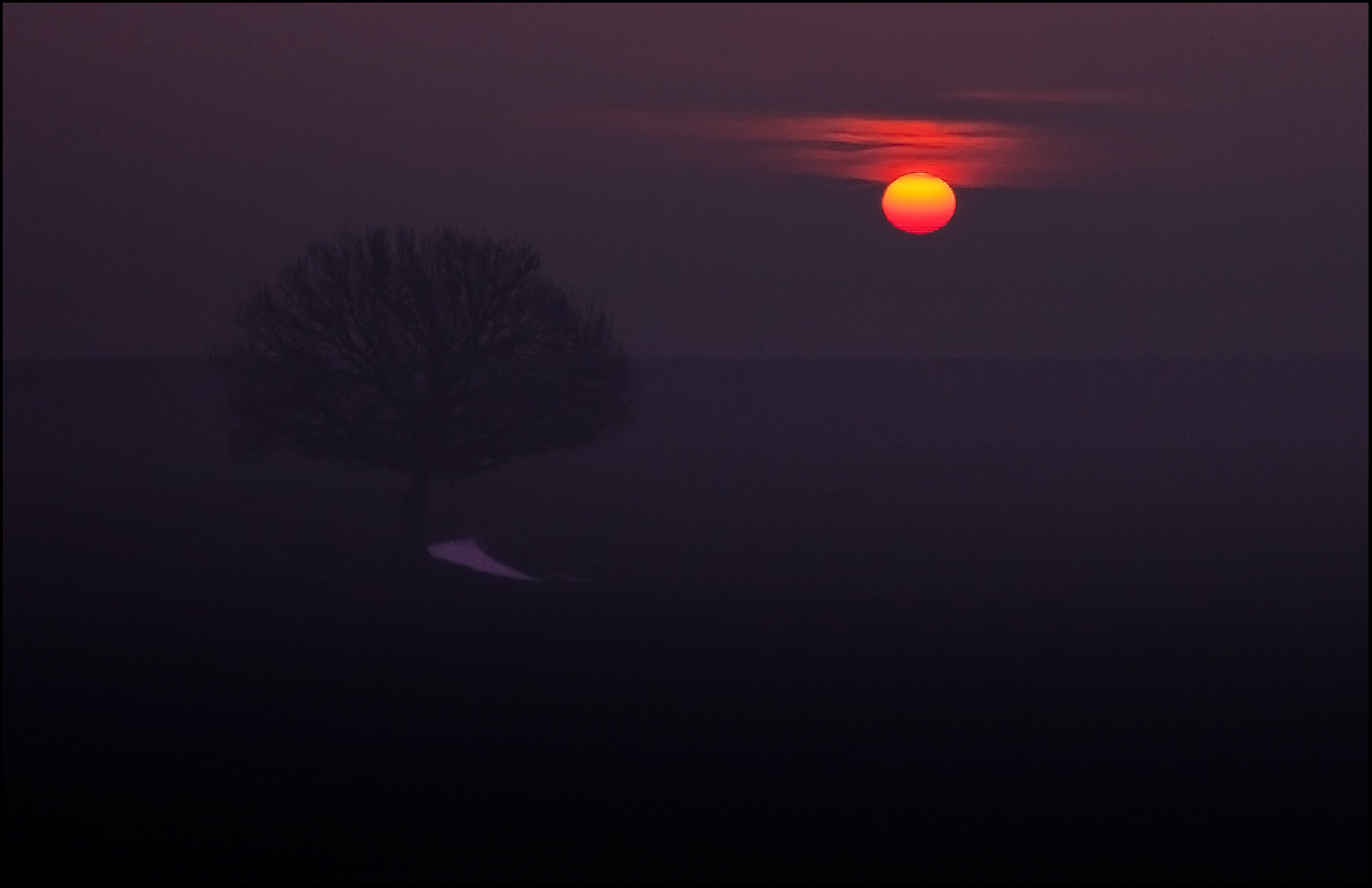 album_pic - 2021-08-07T231048.138.jpeg