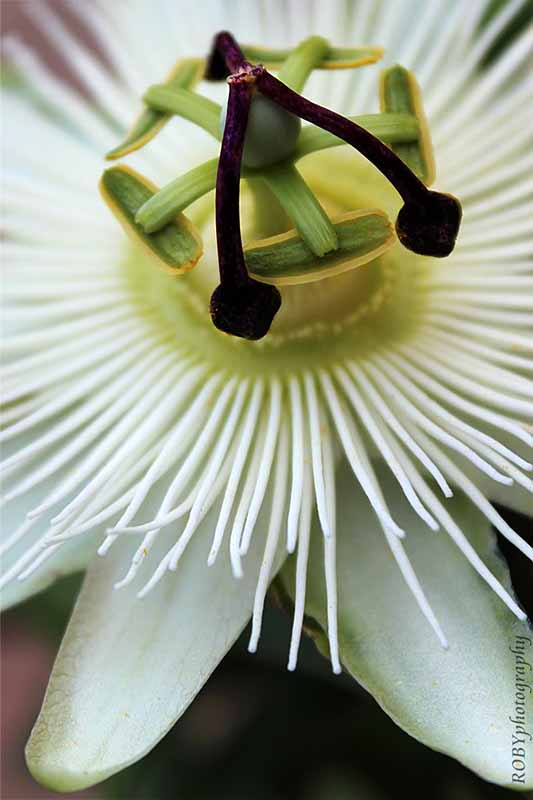 album_pic 22.34.48.jpg