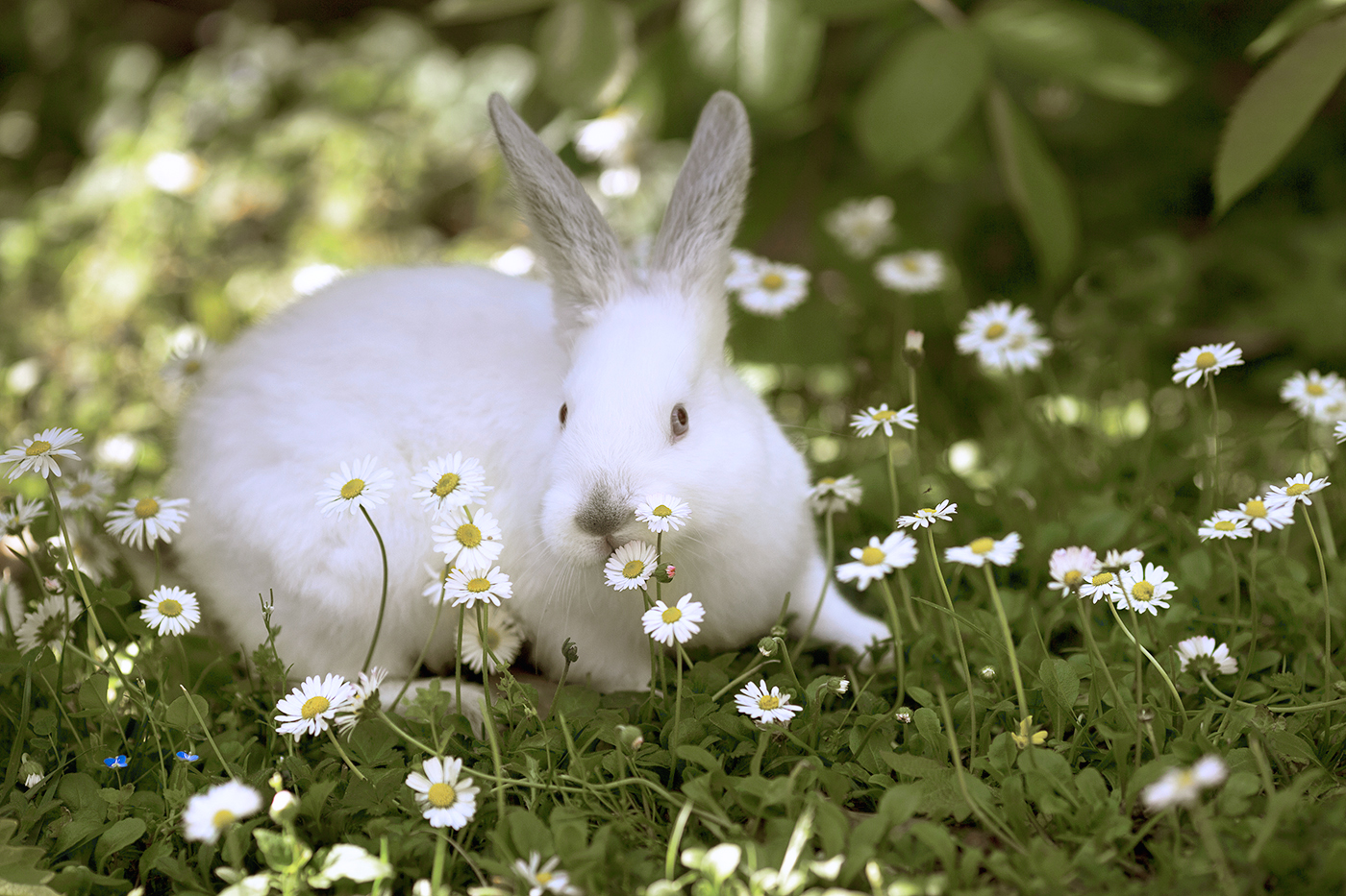 album_pic (18) reddo.jpg