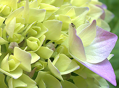 album_pic (2)RIT.jpg