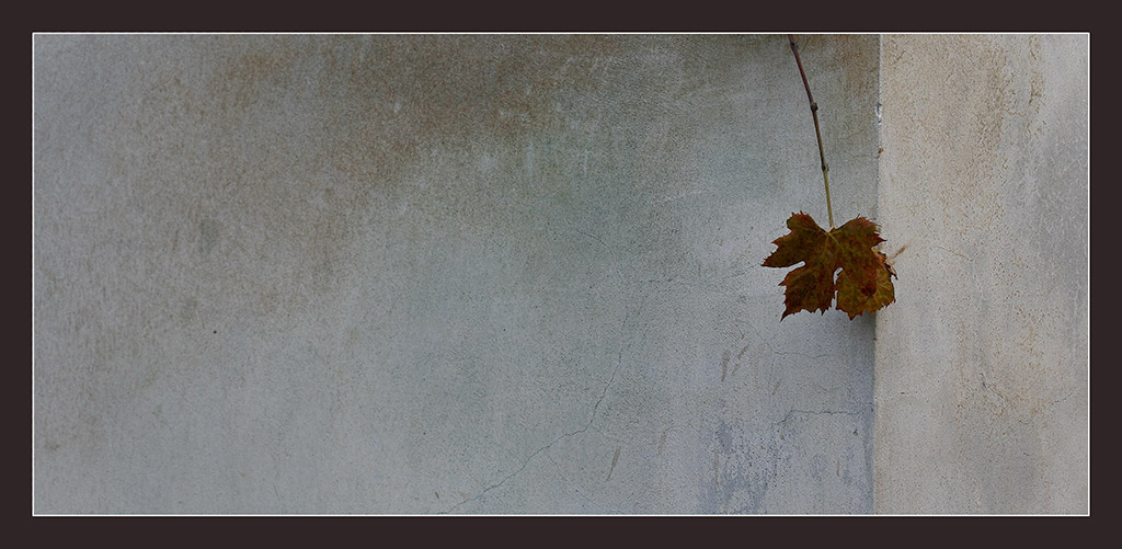 ancora un addio_mod.jpg