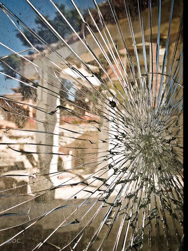 Aquila ferita_02.jpg