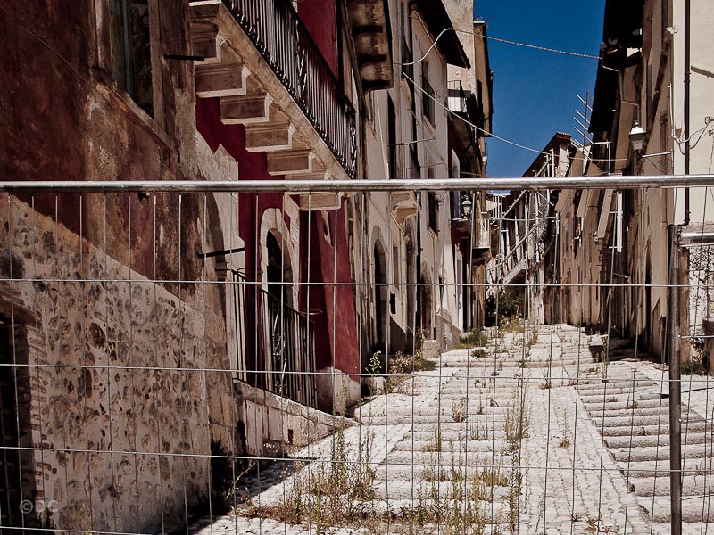 Aquila ferita_13.jpg