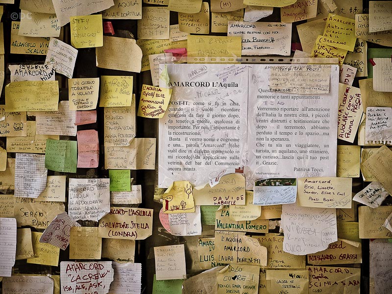 Aquila ferita_34.jpg