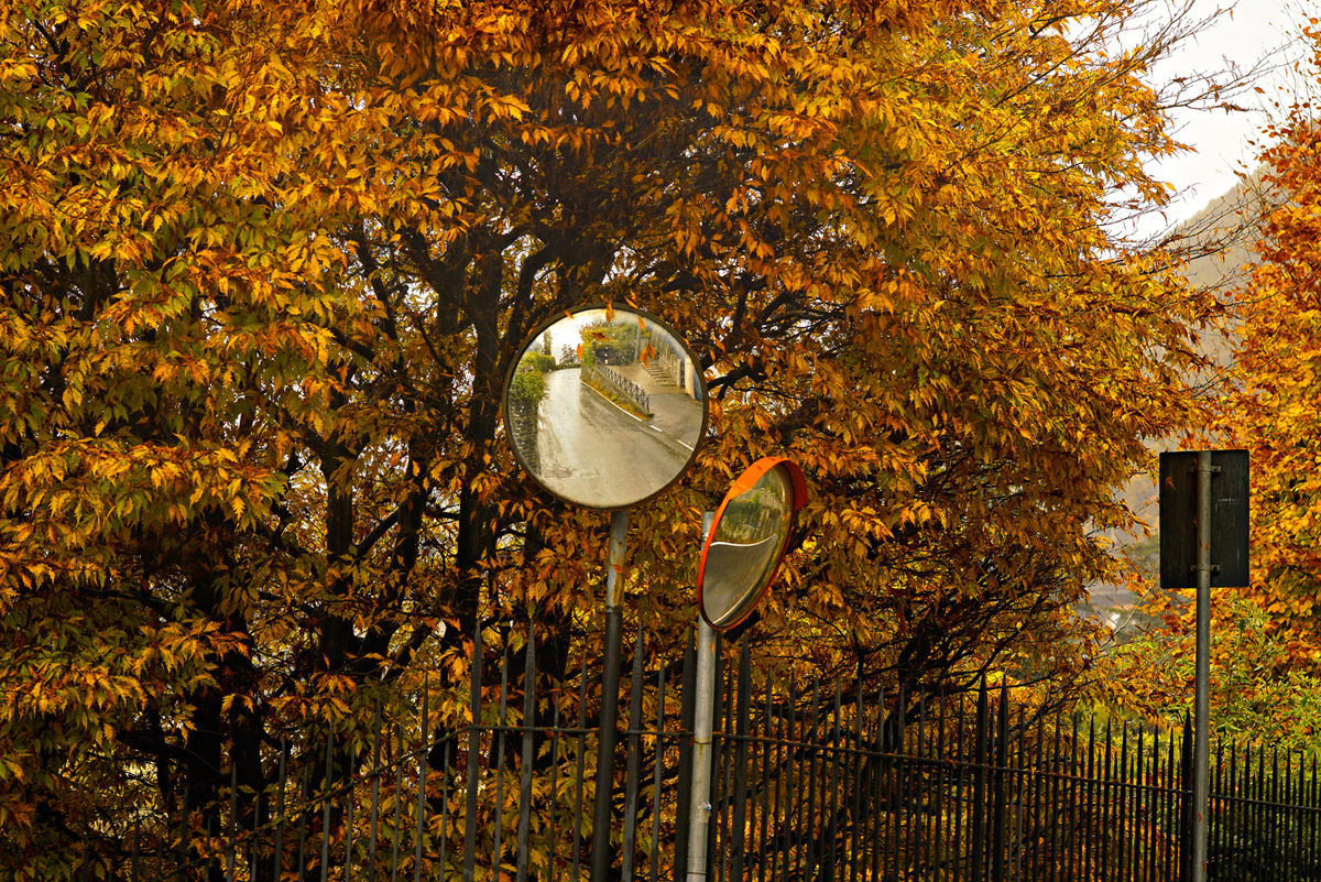 autunno3.jpg