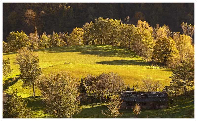 autunno.jpg