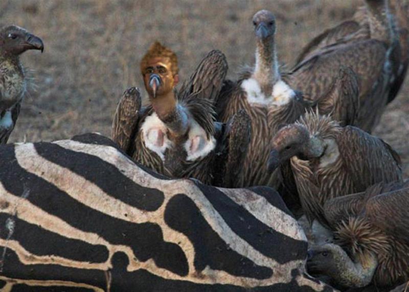 AVVORTOIO 2 copia (Large) (Medium).jpg