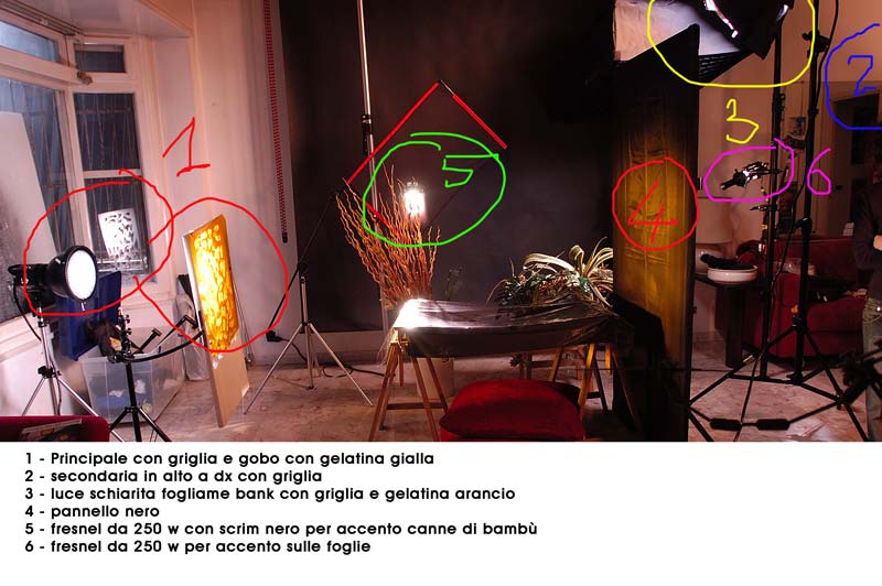 Back Apocalypse - 02.jpg