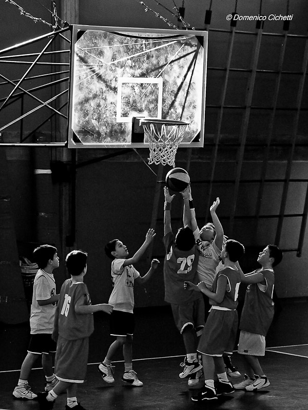 basket_12.jpg
