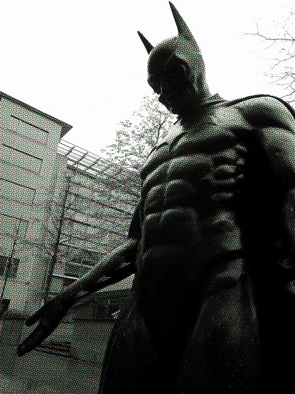 bat4low.JPG
