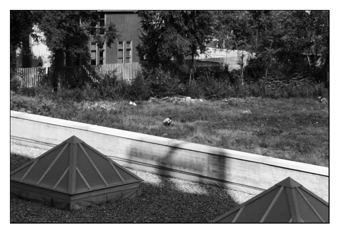 BIANCOENERO IN AZIONE.jpg