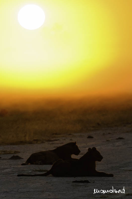 botswana-7628.jpg