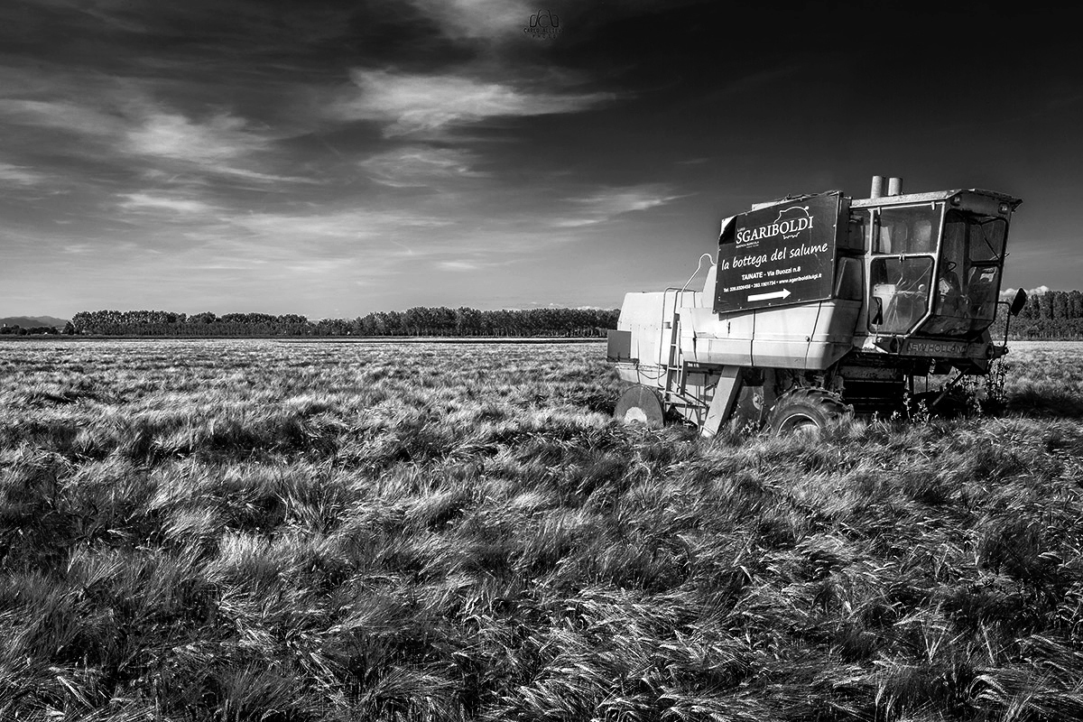 bottega del salume.jpg