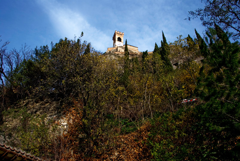 BRISIGHELLA---controvia-degli-asini_2.jpg