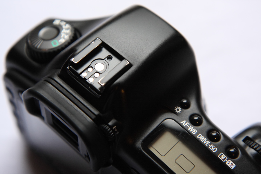 C 5D 007.JPG
