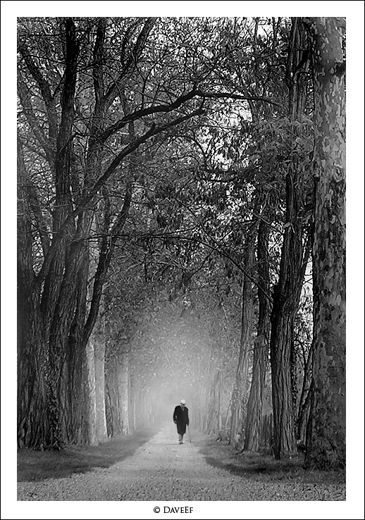 camminando-tra-la-nebbia-no-noise2.jpg