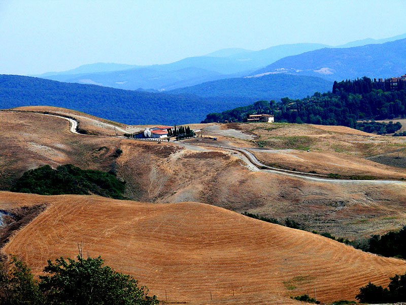 campagna pisana copy.jpg