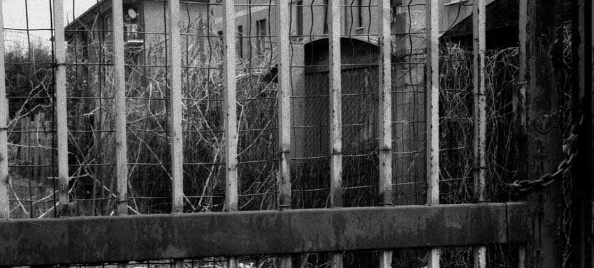 cancello 4 prova web.jpg