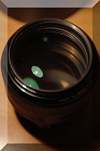 canon 85mm3.jpg