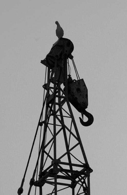 Cantiere navale5.jpg