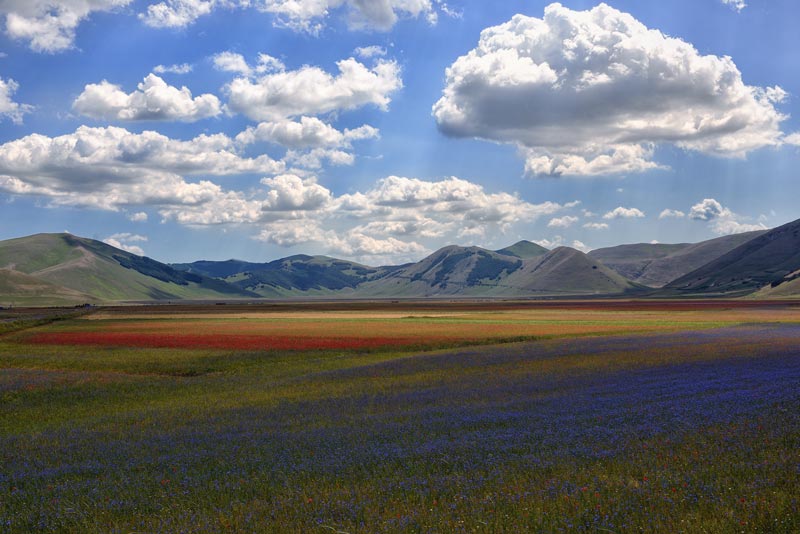 Castelluccio---Silvietta-105col.jpg