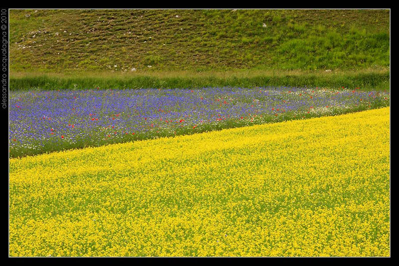 Castelluccio_003.jpg