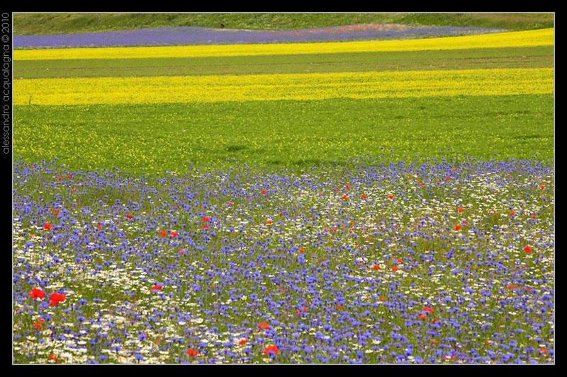 Castelluccio_004.jpg