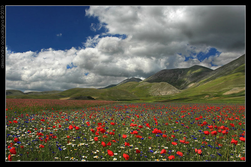 Castelluccio_006.jpg