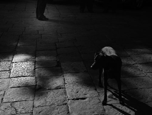 cecit� bianco e nera.jpg