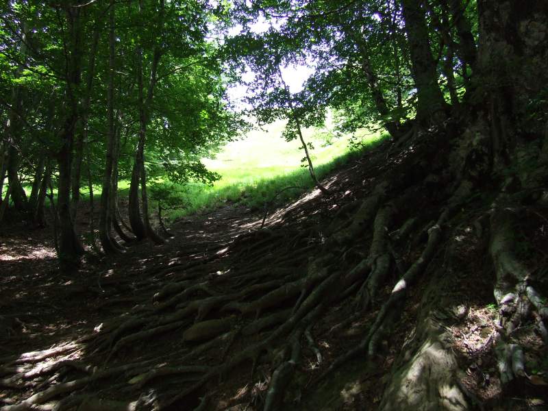cento_cascate_0010.jpg