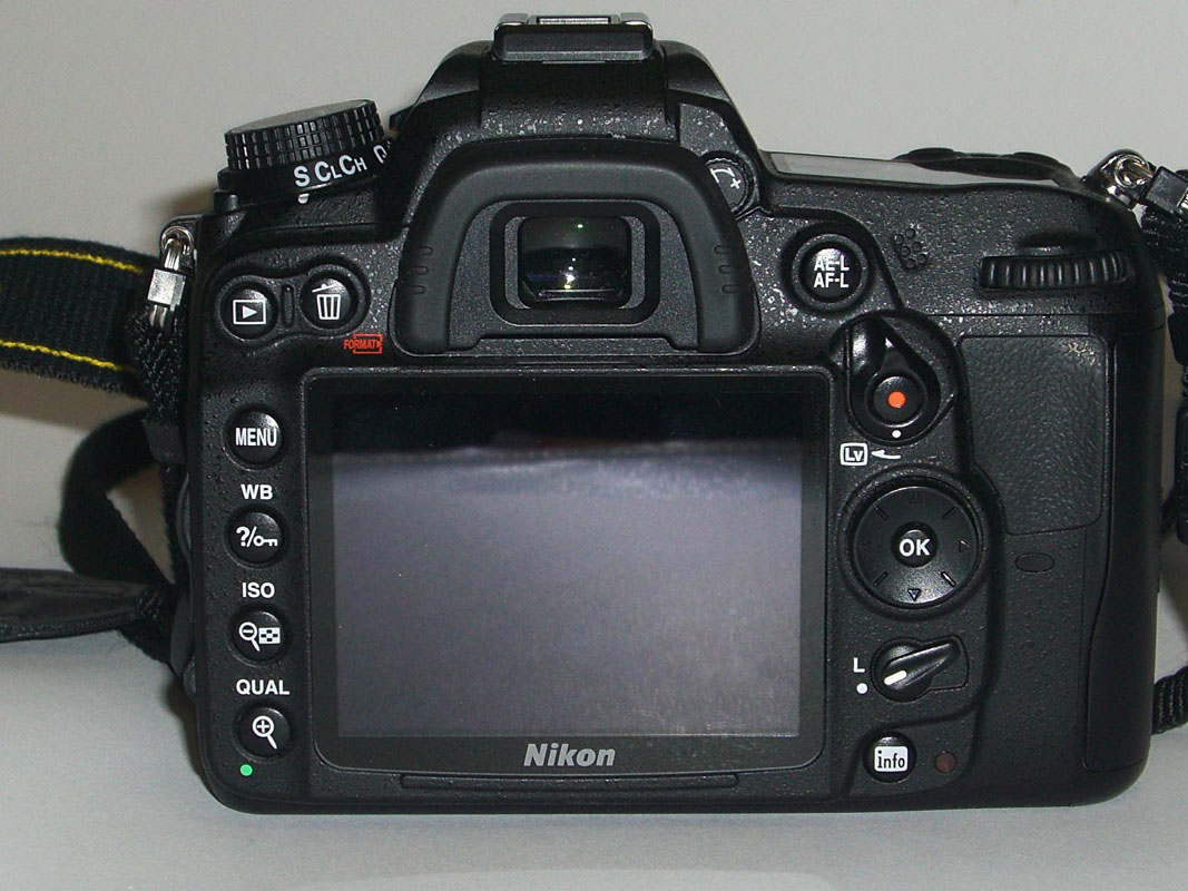 CIMG5234.jpg