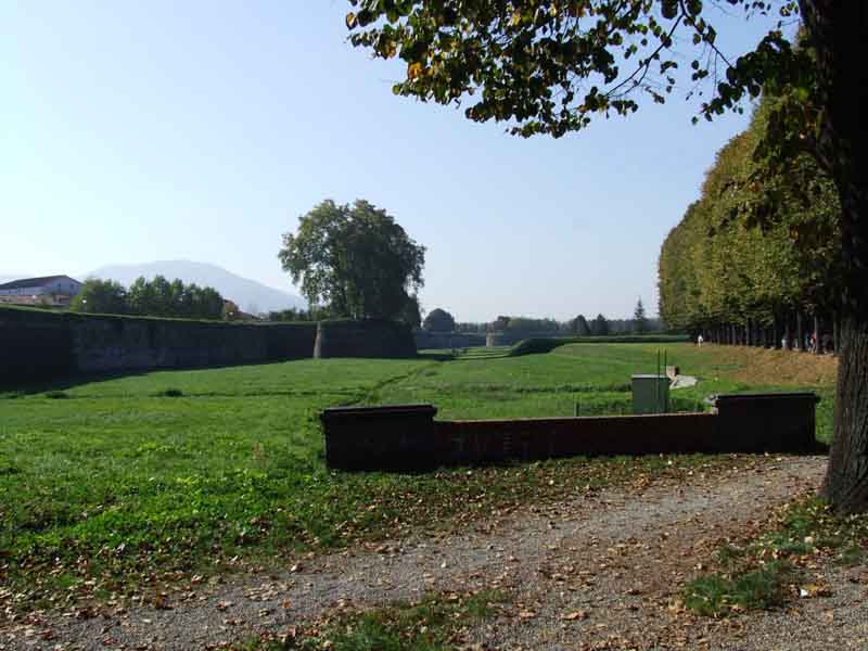 citt� di lucca (1).jpg