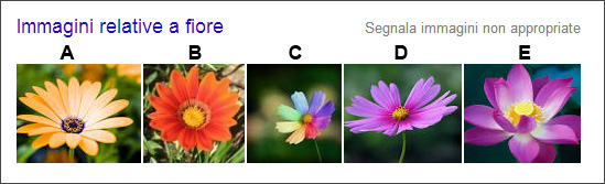 clara_fiore_1.jpg