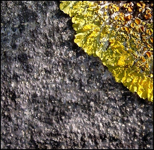colori.jpg