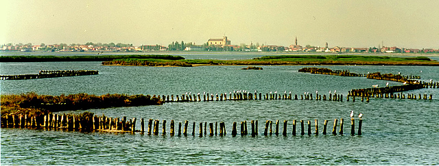 comacchio.jpg