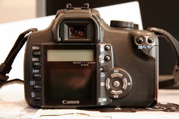 comprata a Maggio.jpg