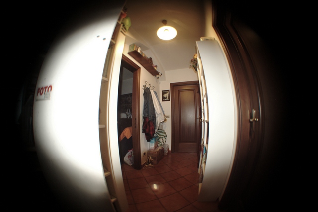 con 50mm + fish eye.jpg