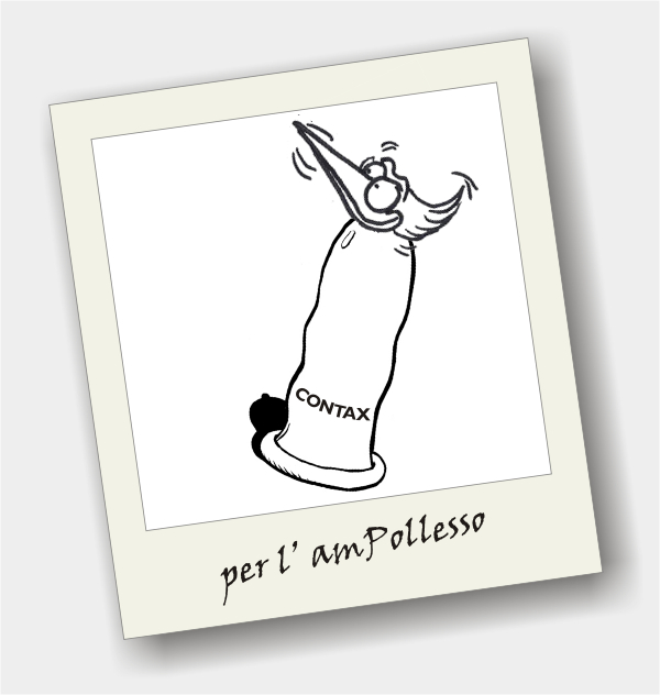 contax per l' ampollesso.jpg