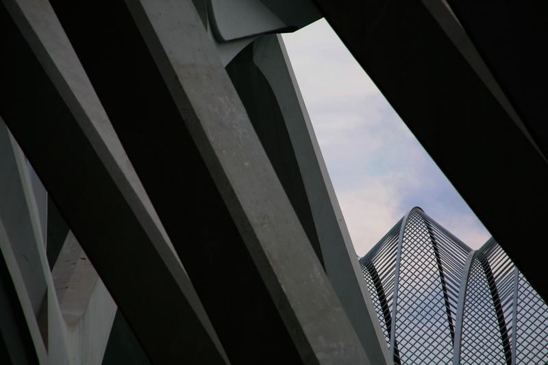 Copia di IMG_5894.jpg